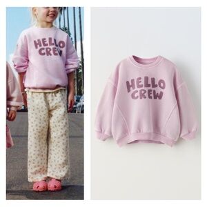 NWT Zara sweatshirt